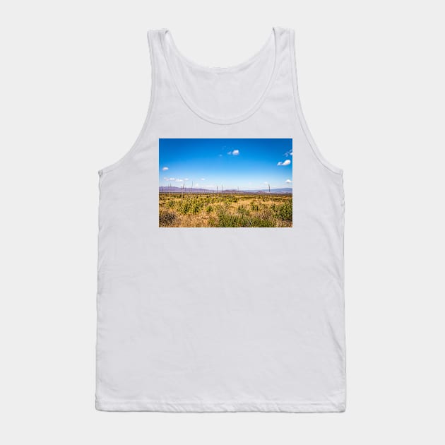 Sotol in the Chihuahuan Desert Tank Top by Gestalt Imagery